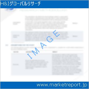 市場と産業調査レポートのイメージ